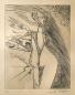 Preview: Masson, André - Frau im Sturm, (ID 384)
