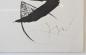 Preview: Miro, Joan - L'Aieule des 10,000 ages (Die Ahnin der 10.000 Zeitalter), 1976 (ID 393)
