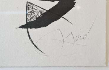 Miro, Joan - L'Aieule des 10,000 ages (Die Ahnin der 10.000 Zeitalter), 1976 (ID 393)